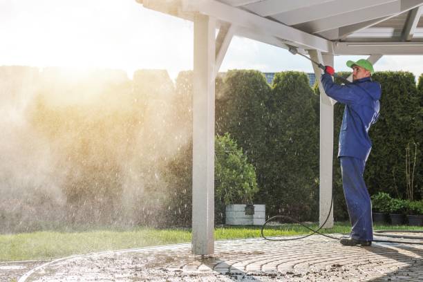 Best Soft Washing  in Walnutport, PA
