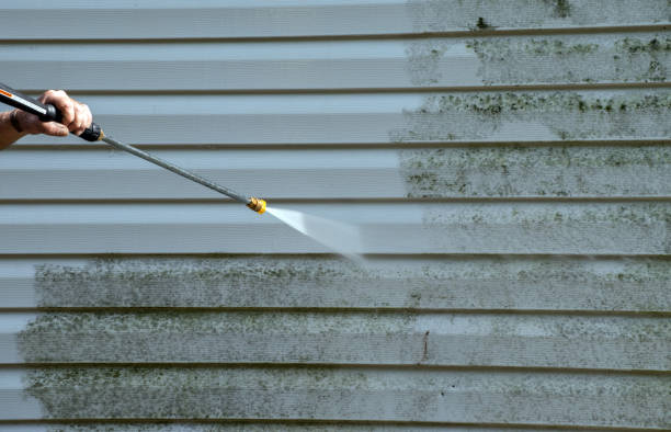 Best Roof Washing  in Walnutport, PA