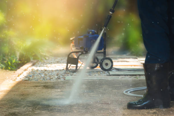 Best Driveway Pressure Washing  in Walnutport, PA